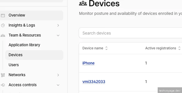 Zero Trust Devices dashboard confirming the Linux VPS is connected