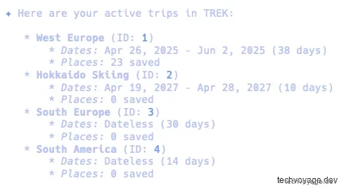Gemini CLI successfully displaying structured trip information