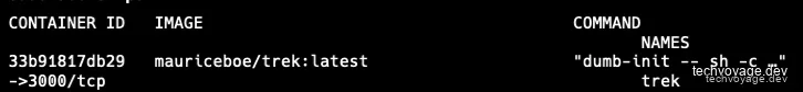 Verifying running container status via docker ps
