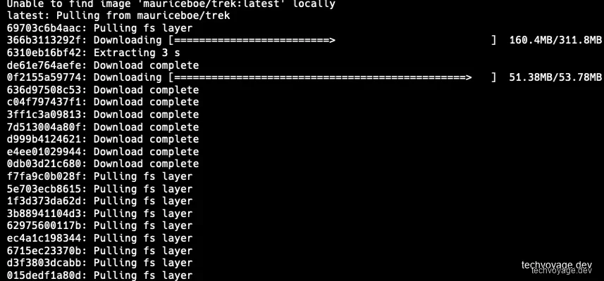 Docker pull and run logs for TREK