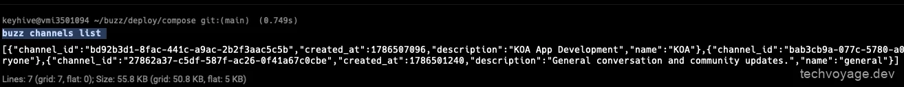 Terminal command execution verifying buzz-cli configuration by listing active channels