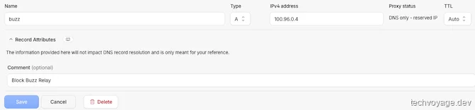 Configuring a DNS A record for the Buzz domain in Cloudflare dashboard with proxy status set to DNS only